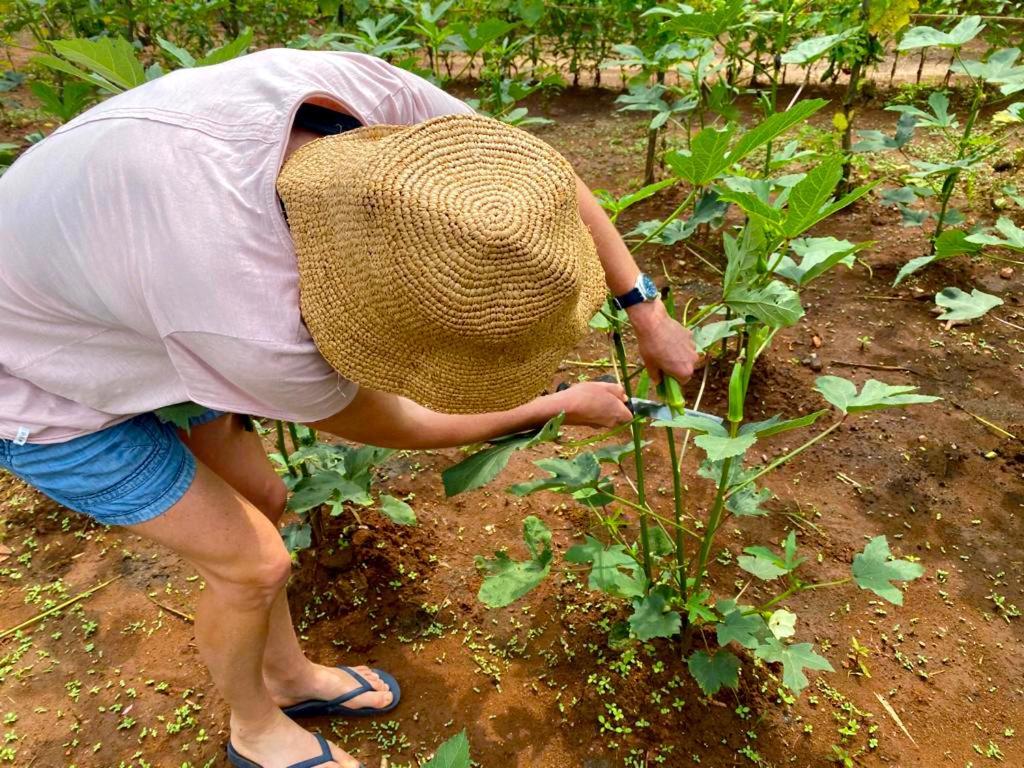 Moni Farm House Wilpattu Nochchiyagama 외부 사진