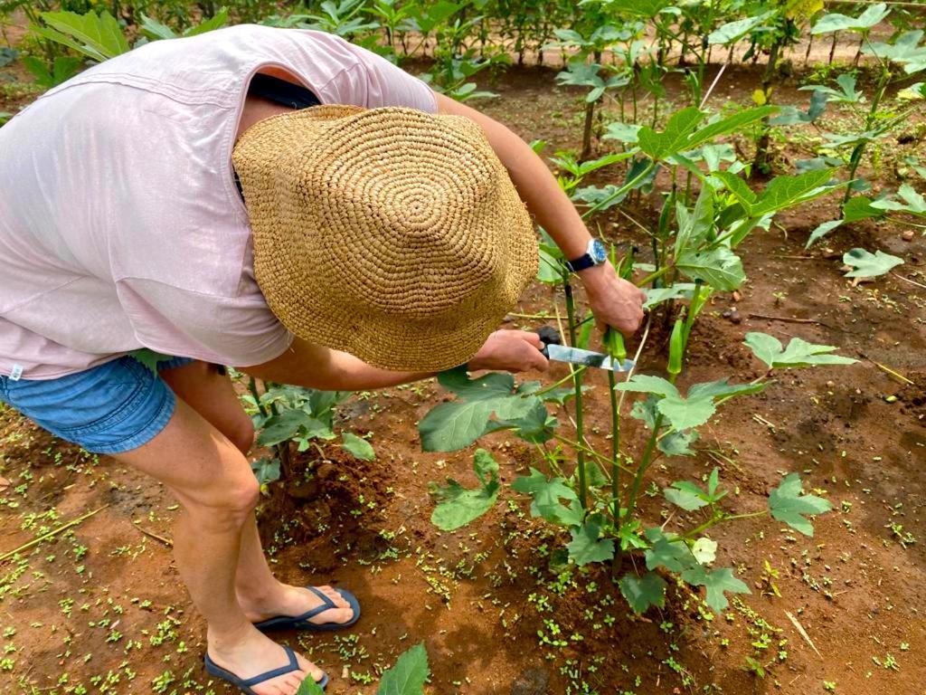 Moni Farm House Wilpattu Nochchiyagama 외부 사진