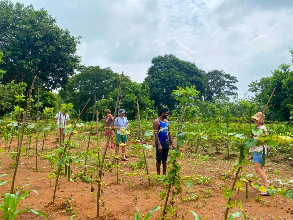 Moni Farm House Wilpattu Nochchiyagama 외부 사진
