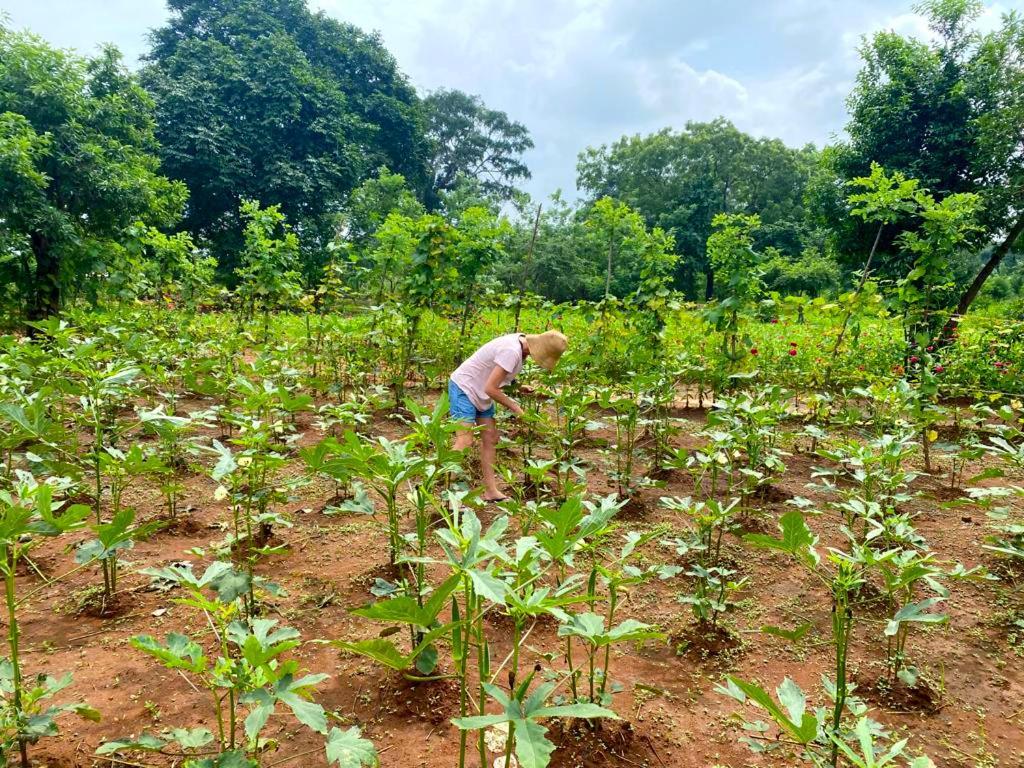 Moni Farm House Wilpattu Nochchiyagama 외부 사진