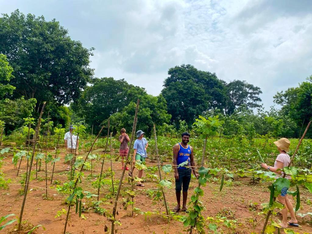 Moni Farm House Wilpattu Nochchiyagama 외부 사진