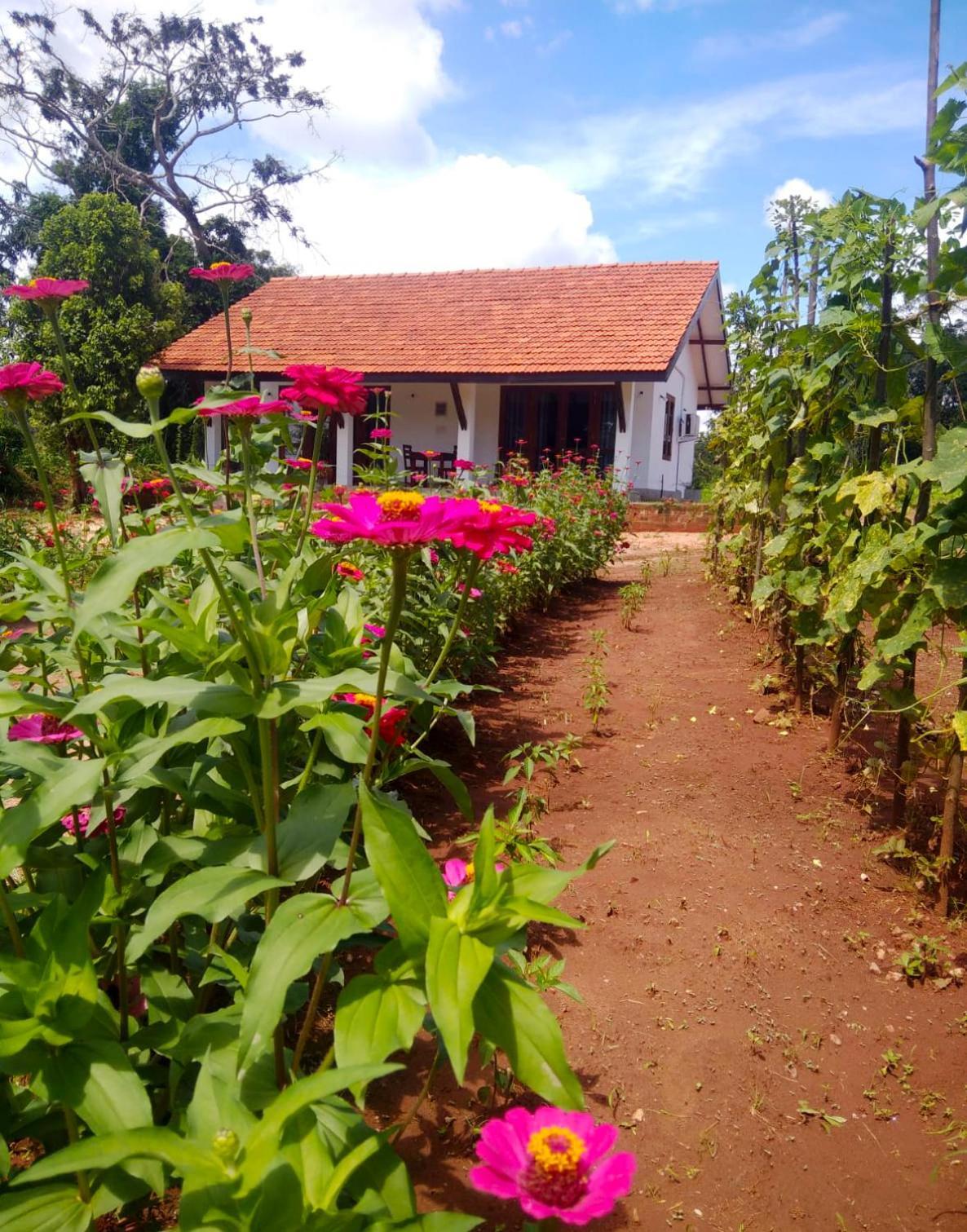 Moni Farm House Wilpattu Nochchiyagama 외부 사진