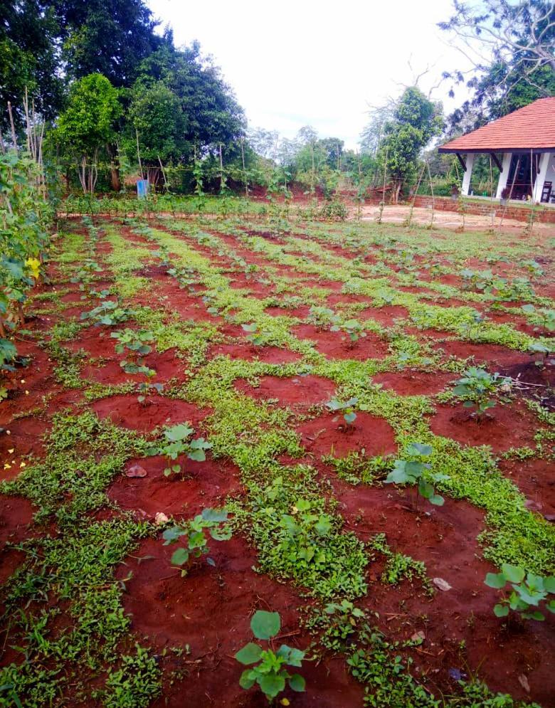 Moni Farm House Wilpattu Nochchiyagama 외부 사진