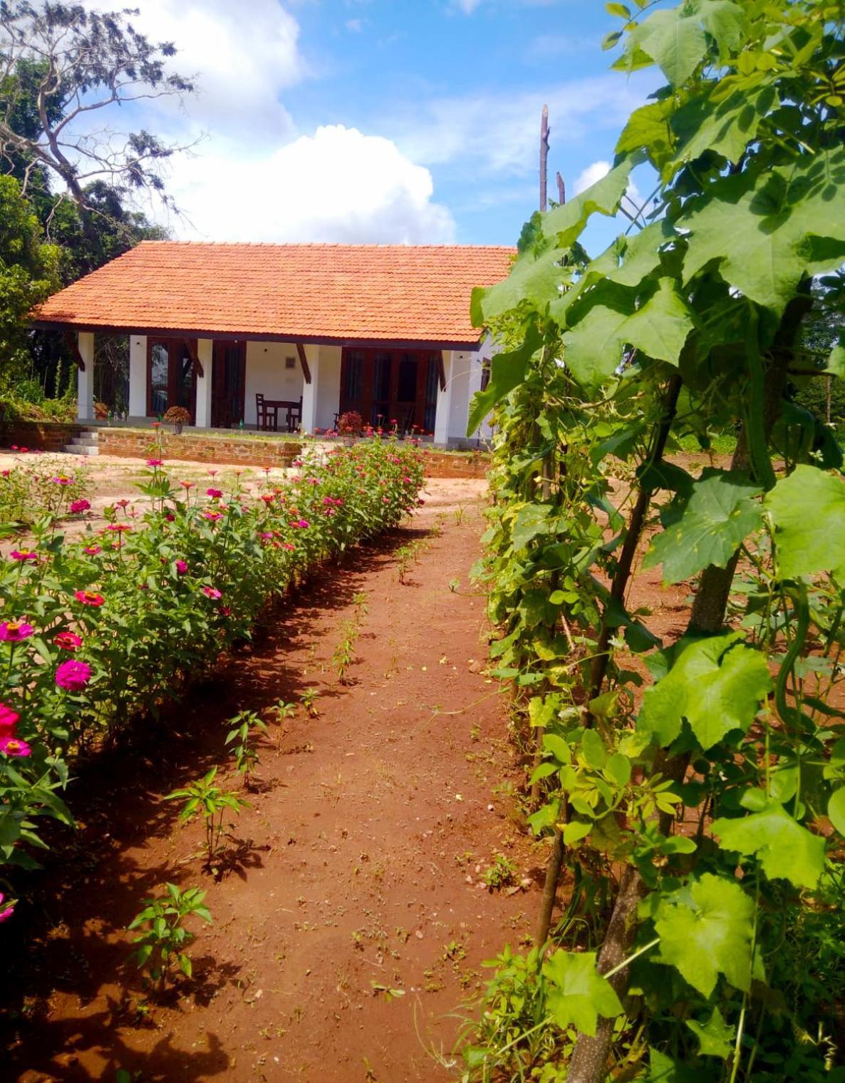 Moni Farm House Wilpattu Nochchiyagama 외부 사진