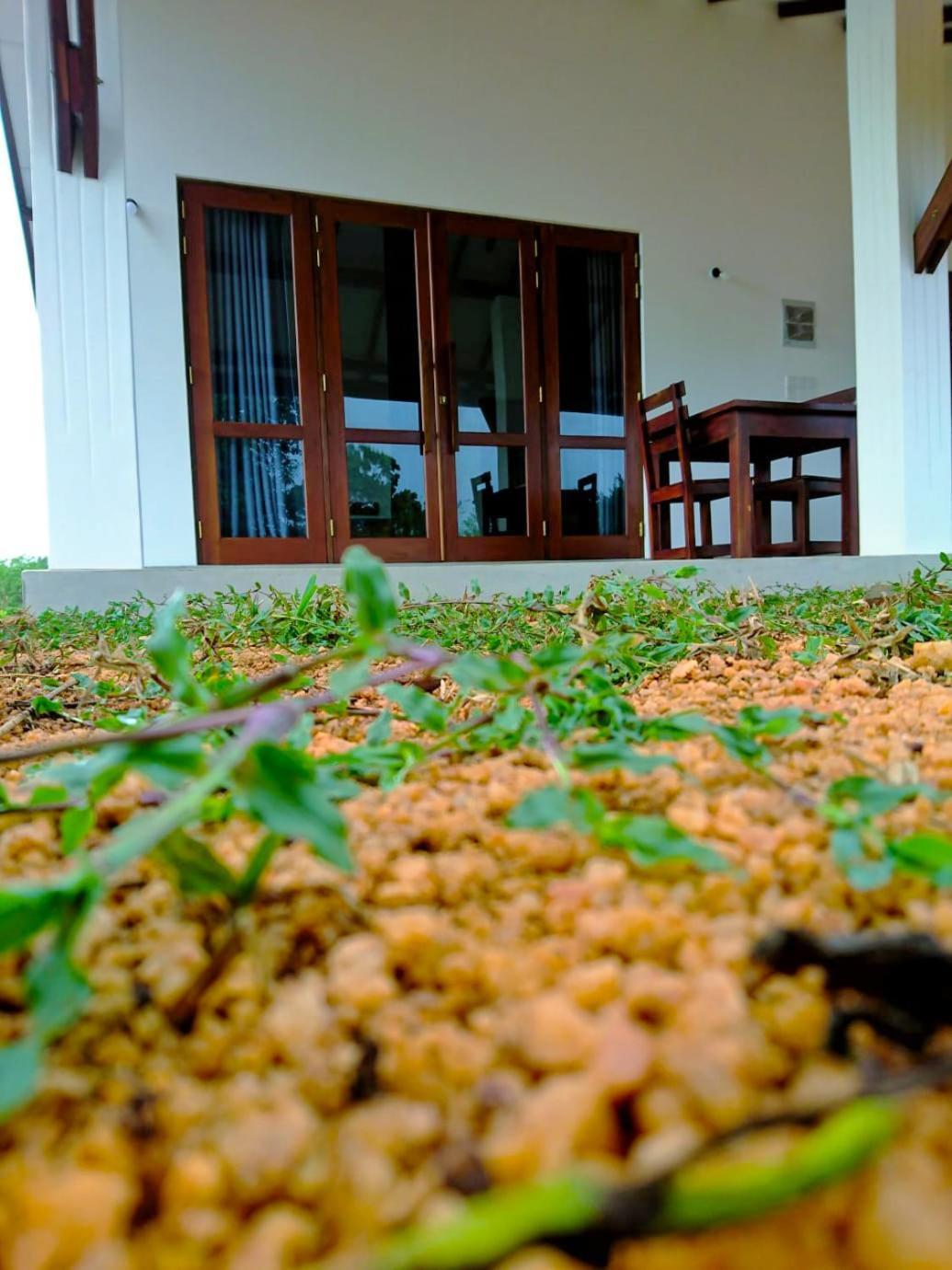 Moni Farm House Wilpattu Nochchiyagama 외부 사진